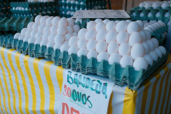 Devenez un expert de la street food : Astuces et secrets pour préparer les plats emblématiques à domicile.